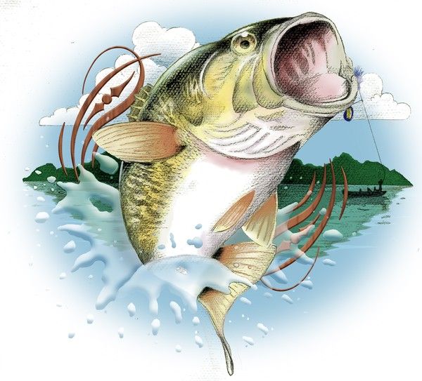 Download Bass clipart gone fishing, Bass gone fishing Transparent FREE for download on WebStockReview 2021