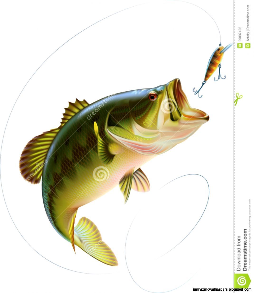 Bass clipart jumping. Largemouth drawing amazing wallpapers