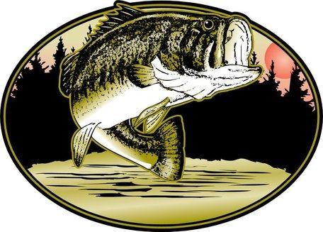 bass clipart lake fish