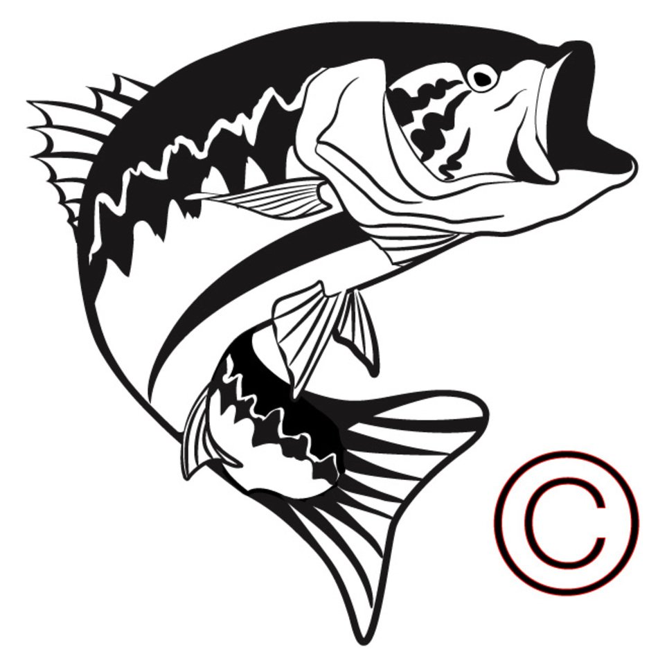 Bass Clipart Largemouth Bass Bass Largemouth Bass Transparent FREE For 