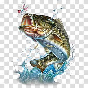 Free Free 133 Clipart Largemouth Bass Bass Fish Svg Free SVG PNG EPS DXF File