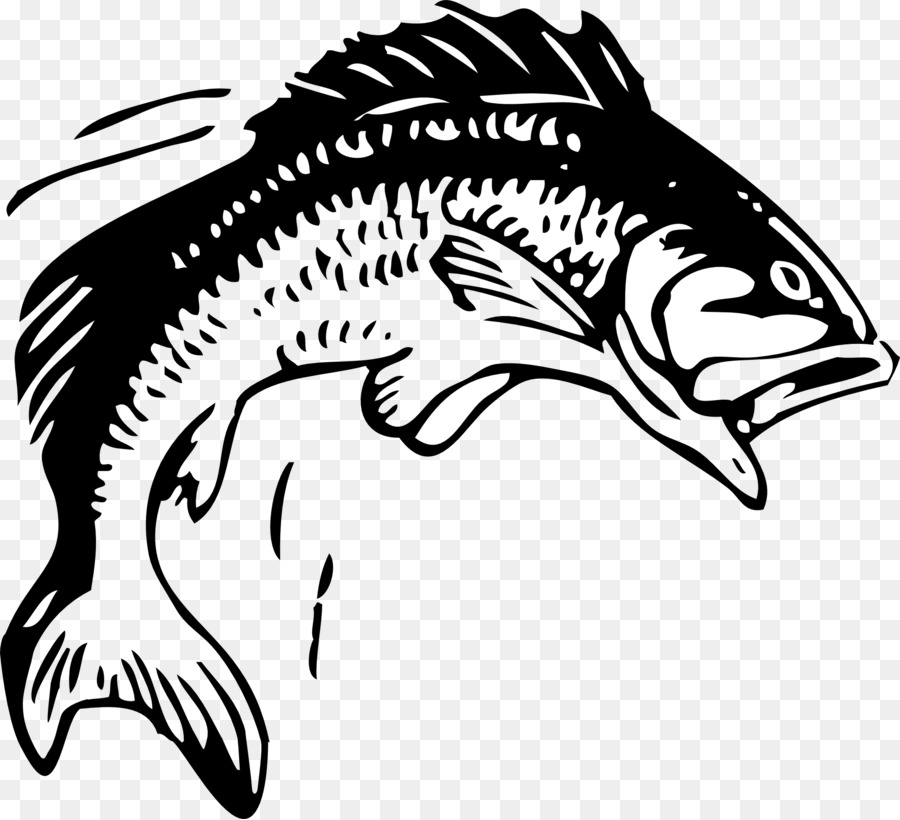 bass clipart pond fish