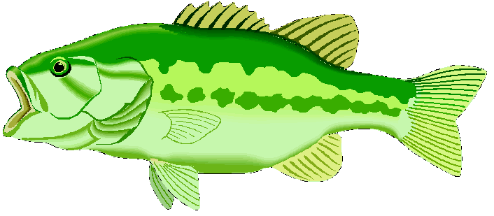 Bass pond fish