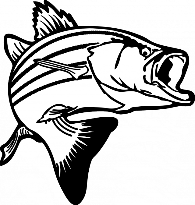 Salmon fish clip art. Logo clipart seafood