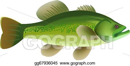 bass clipart river fish
