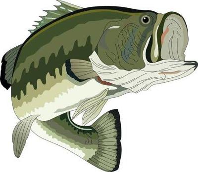 bass clipart river fish