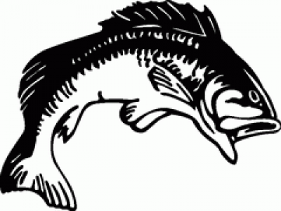 Download free png black. Bass clipart simple bass