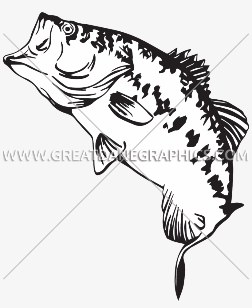 Fishing drawing png image. Bass clipart smallmouth bass