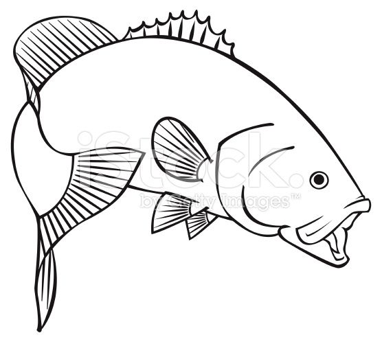Black line illustration for. Bass clipart smallmouth bass