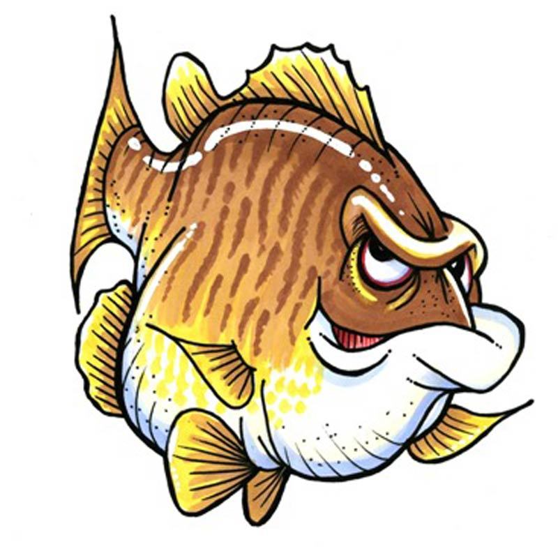 Topo scales and tales. Bass clipart smallmouth bass