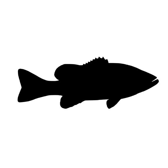 Bass clipart smallmouth bass. Fishing vinyl diecut decal
