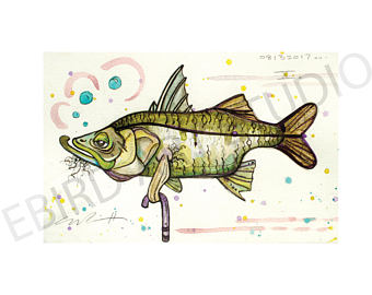 bass clipart snook