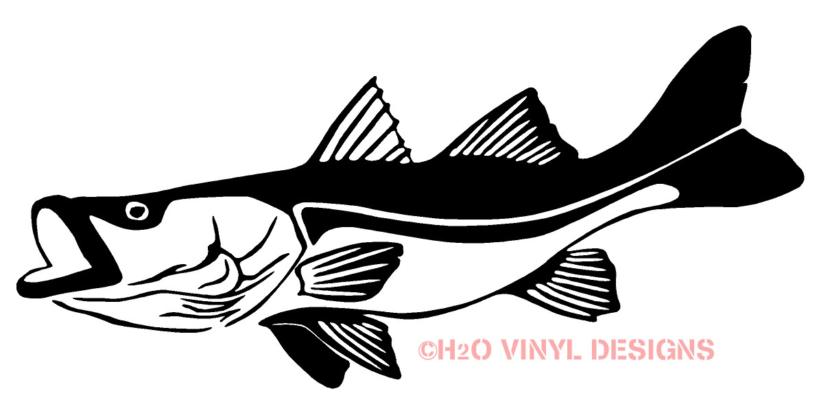 Bass clipart snook, Bass snook Transparent FREE for download on