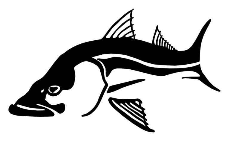 bass clipart snook