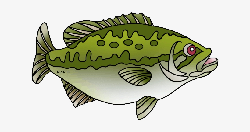 Image free fishing ky. Bass clipart spotted bass