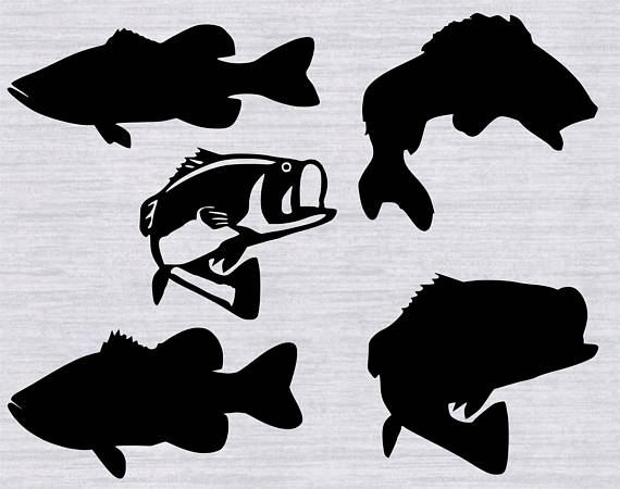 Free Free 97 Clipart Largemouth Bass Bass Fish Svg Free SVG PNG EPS DXF File