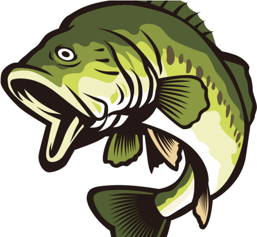 Bass clipart tiger fish, Bass tiger fish Transparent FREE for download