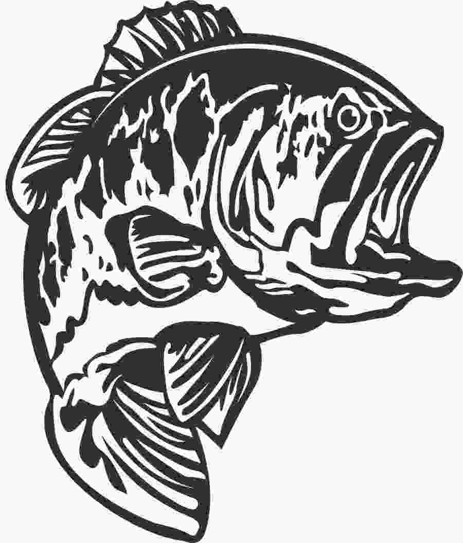 bass clipart tiger fish