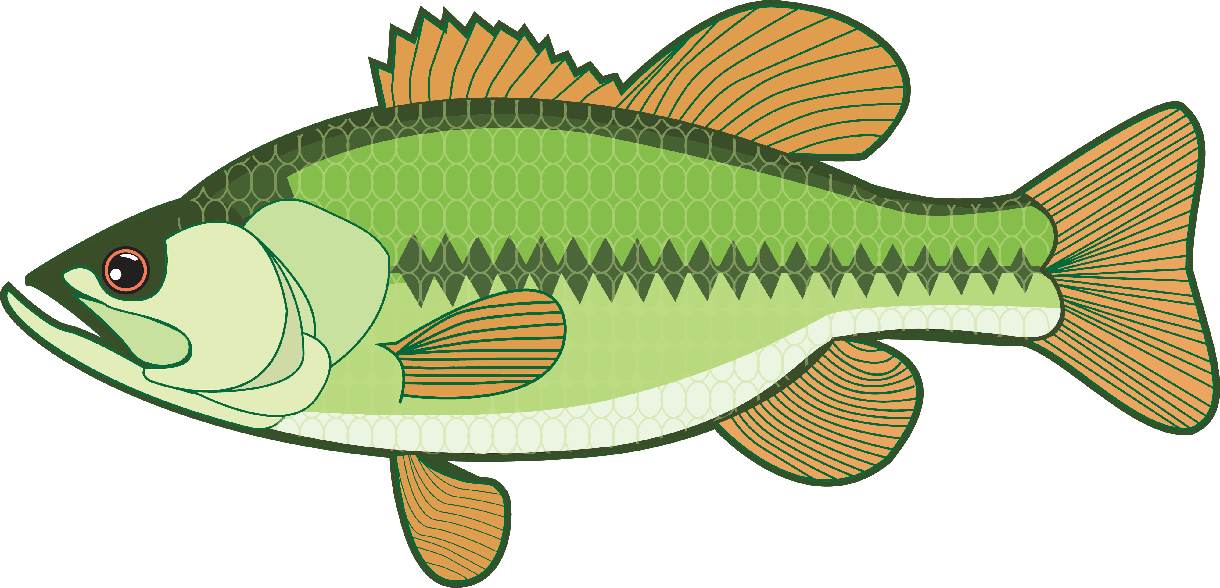 Free Free 156 Largemouth Bass Bass Svg SVG PNG EPS DXF File