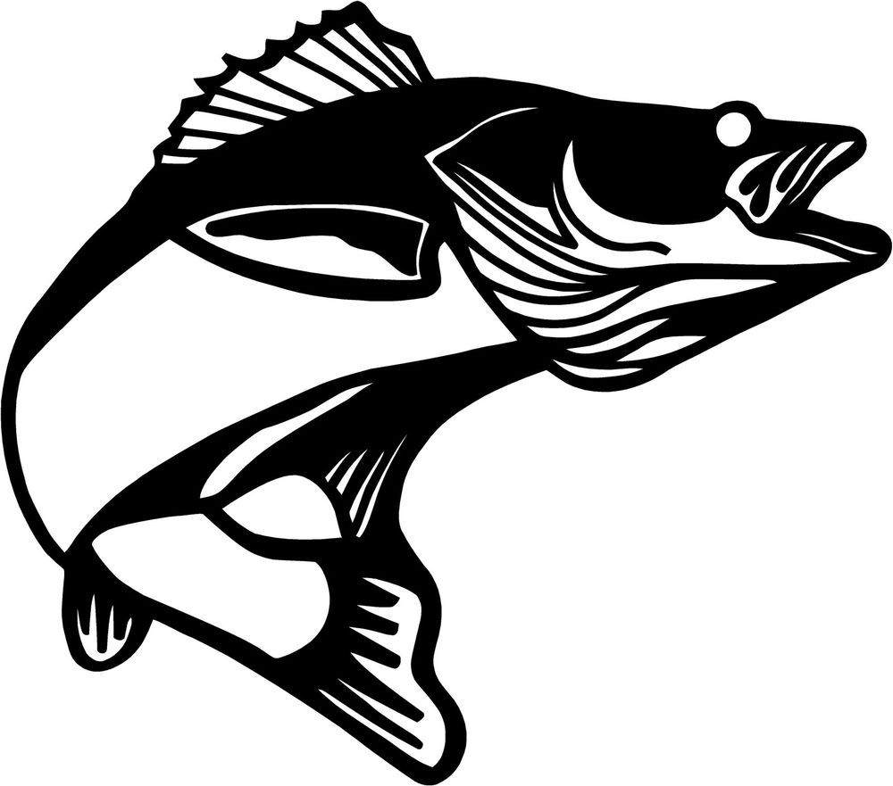 Bass clipart walleye. Free outline cliparts download