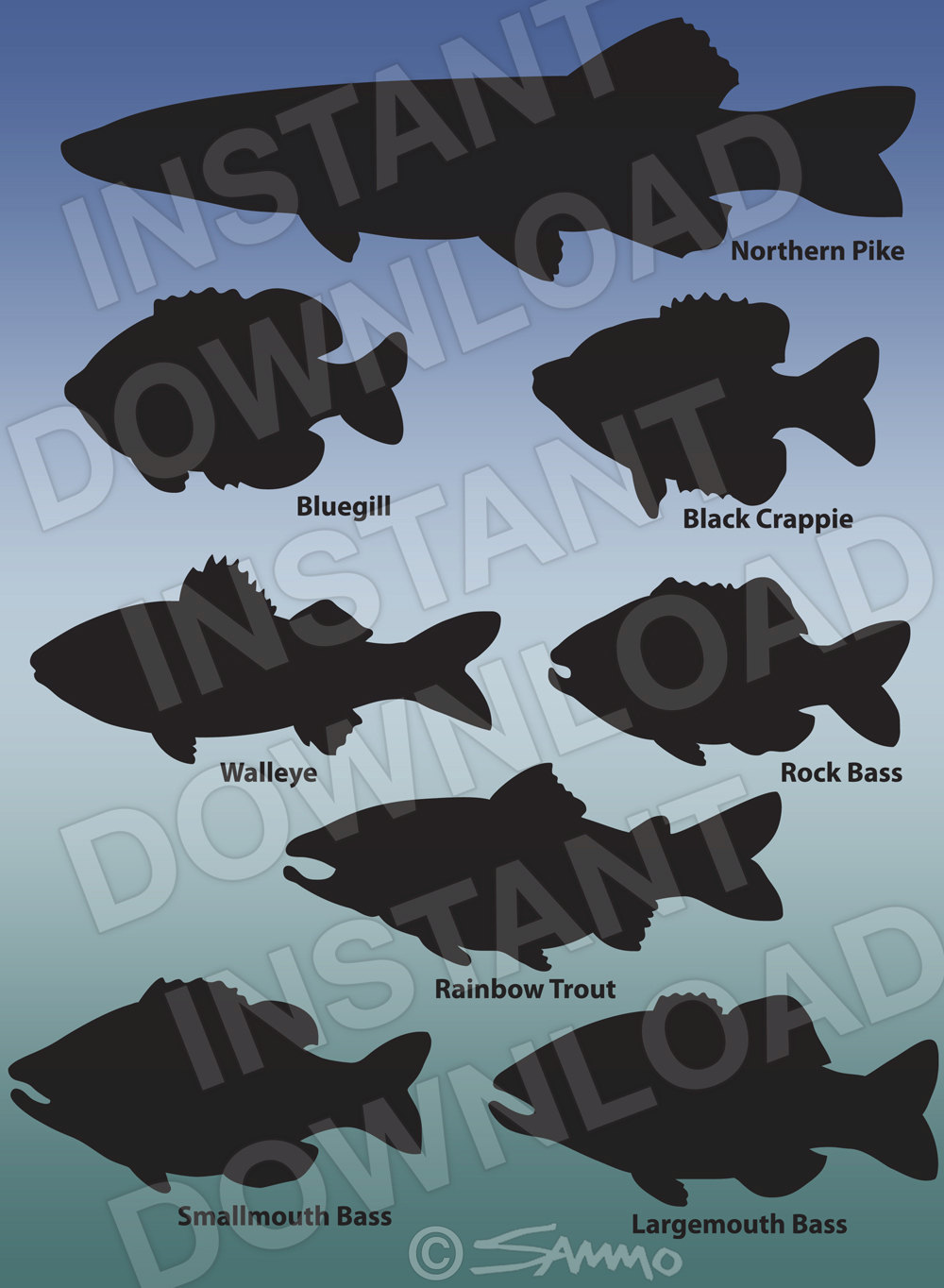 Bass clipart walleye. Assorted fish silhouettes pike