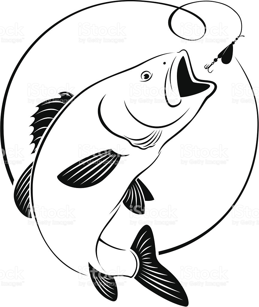 Bass clipart walleye. Drawing at getdrawings com
