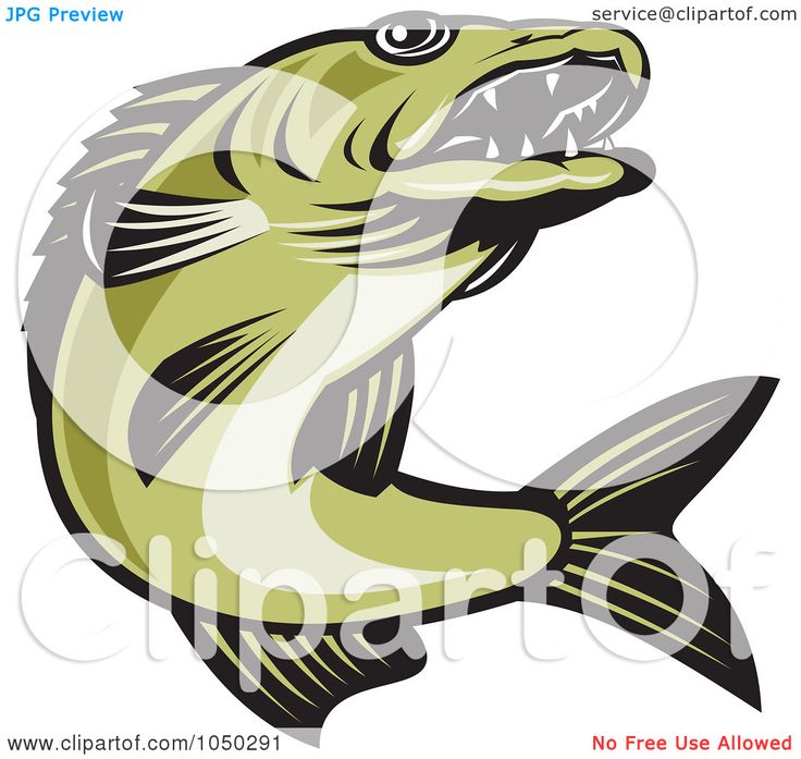  best fish images. Bass clipart walleye