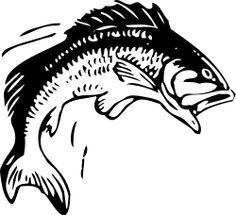 Jumping out of water. Bass clipart walleye