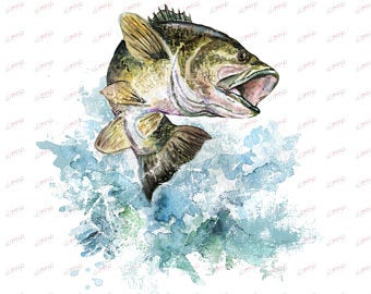 Etsy your place to. Bass clipart watercolor