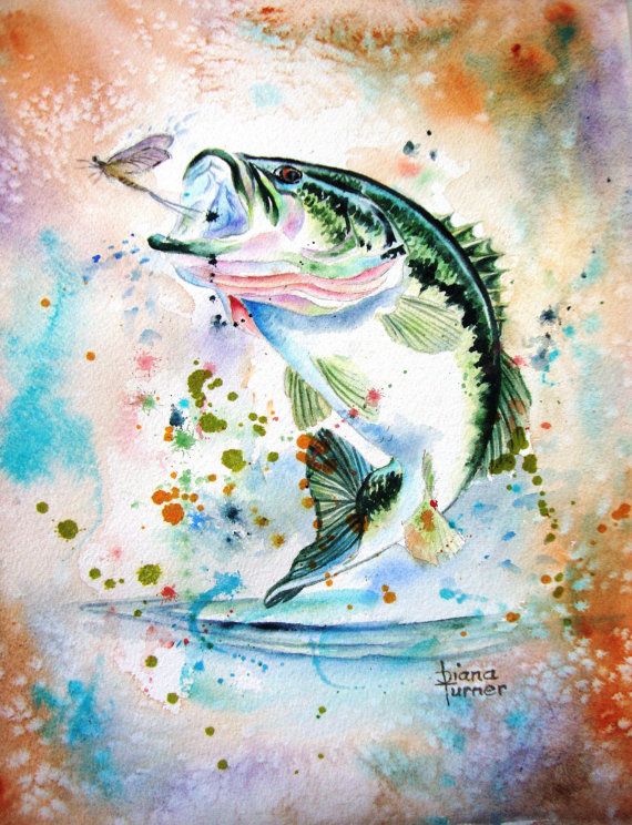 Bass clipart watercolor. Largemouth fish art print