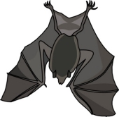 Bat clipart. Free clip art pictures