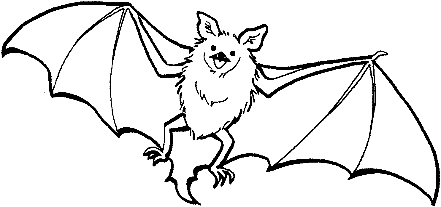 Bat line drawing wikiclipart. Bats clipart black and white