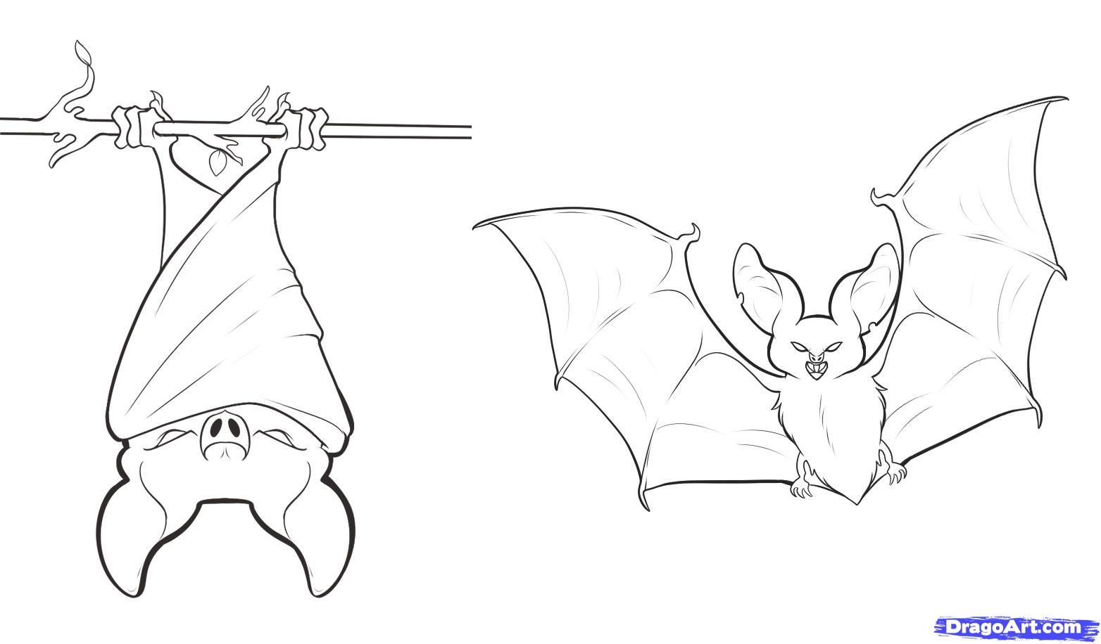 bats clipart draw