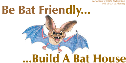Bat clipart friendly. Rocket style house the