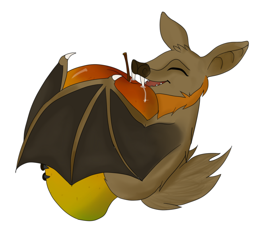 clipart bat fruit bat