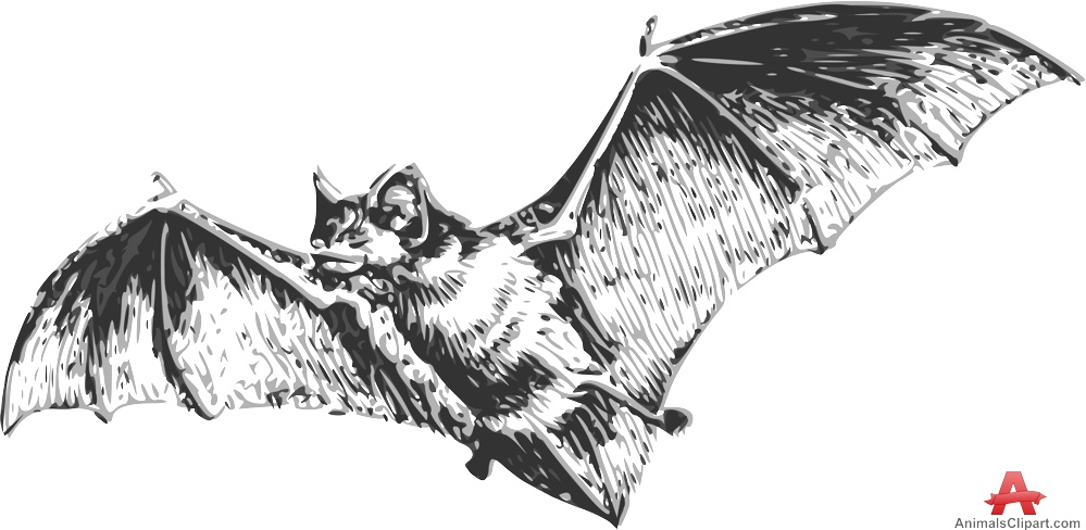 Bat clipart gothic. Traced of flying free