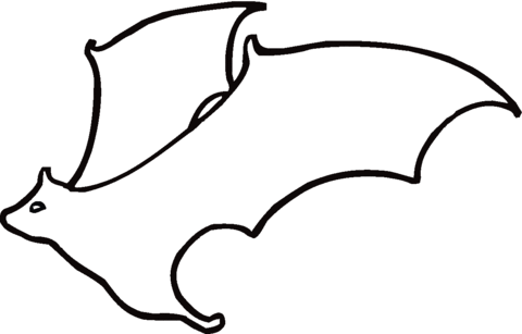 Bats clipart outline. Flying bat coloring page