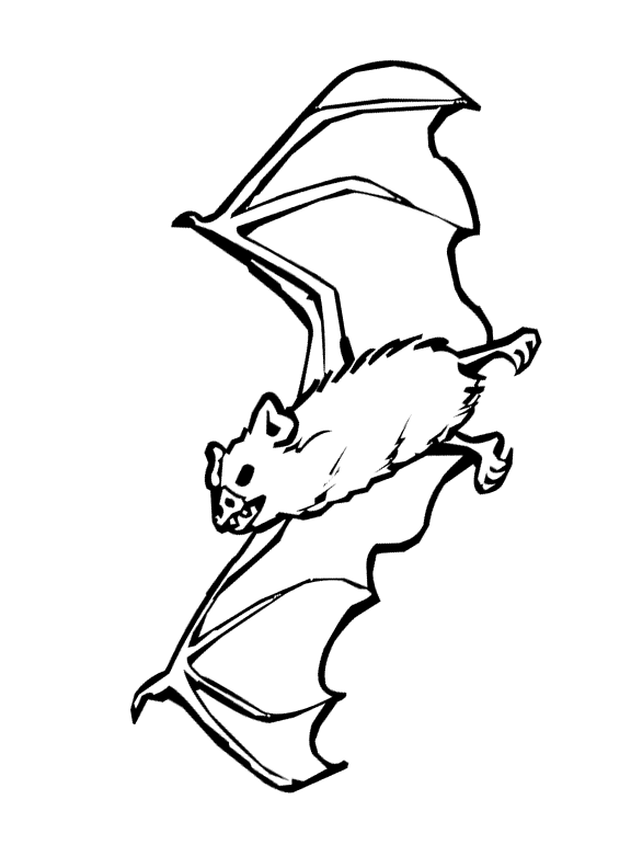 clipart bat sketch