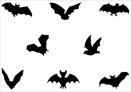 Bats clipart bird. Bat silhouette clip art