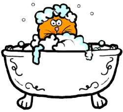 bath clipart cat