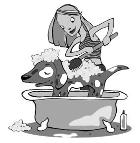 bath clipart dog bath