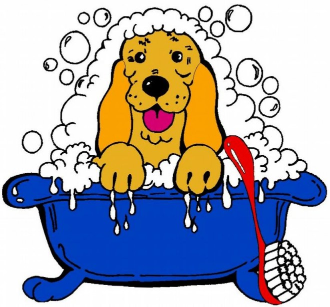 Bath clipart pet bath. Grooming veterinarians memphis raleigh