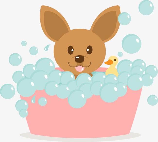 Vector dog puppy brown. Bath clipart pet bath