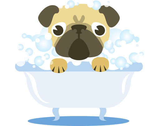 The ultimate guide to. Bath clipart pet bath