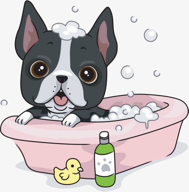 Dogs take a dog. Bath clipart pet bath