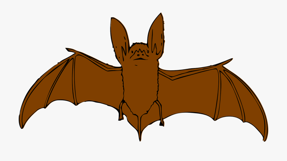 Bats clipart brown bat. Of big outline clip