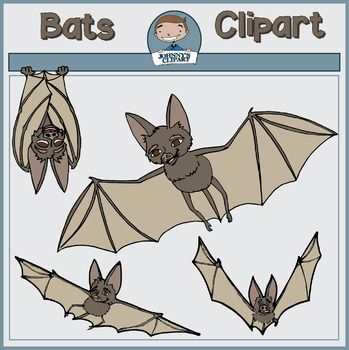 Bats clipart brown bat. 