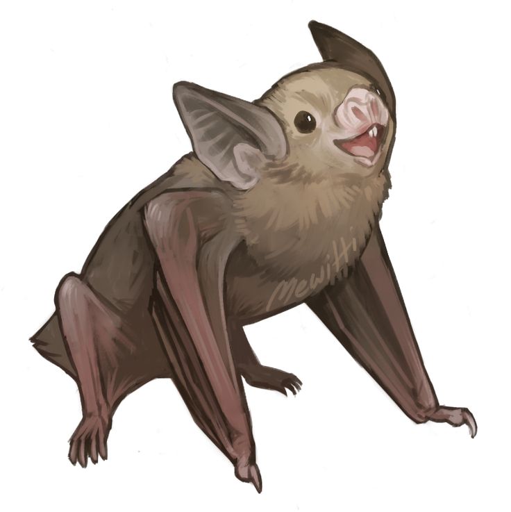 Bats clipart bumblebee bat.  best images on