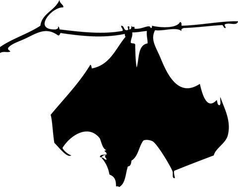 Wed free on dumielauxepices. Bats clipart creepy