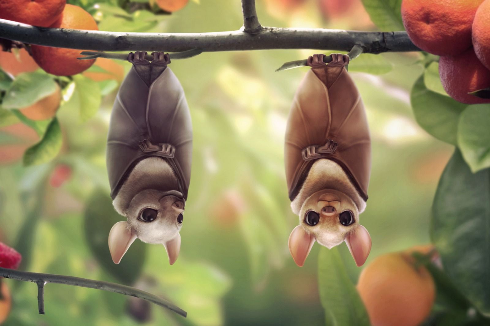 Bats clipart fruit bat. Cartoon by carlos nieto